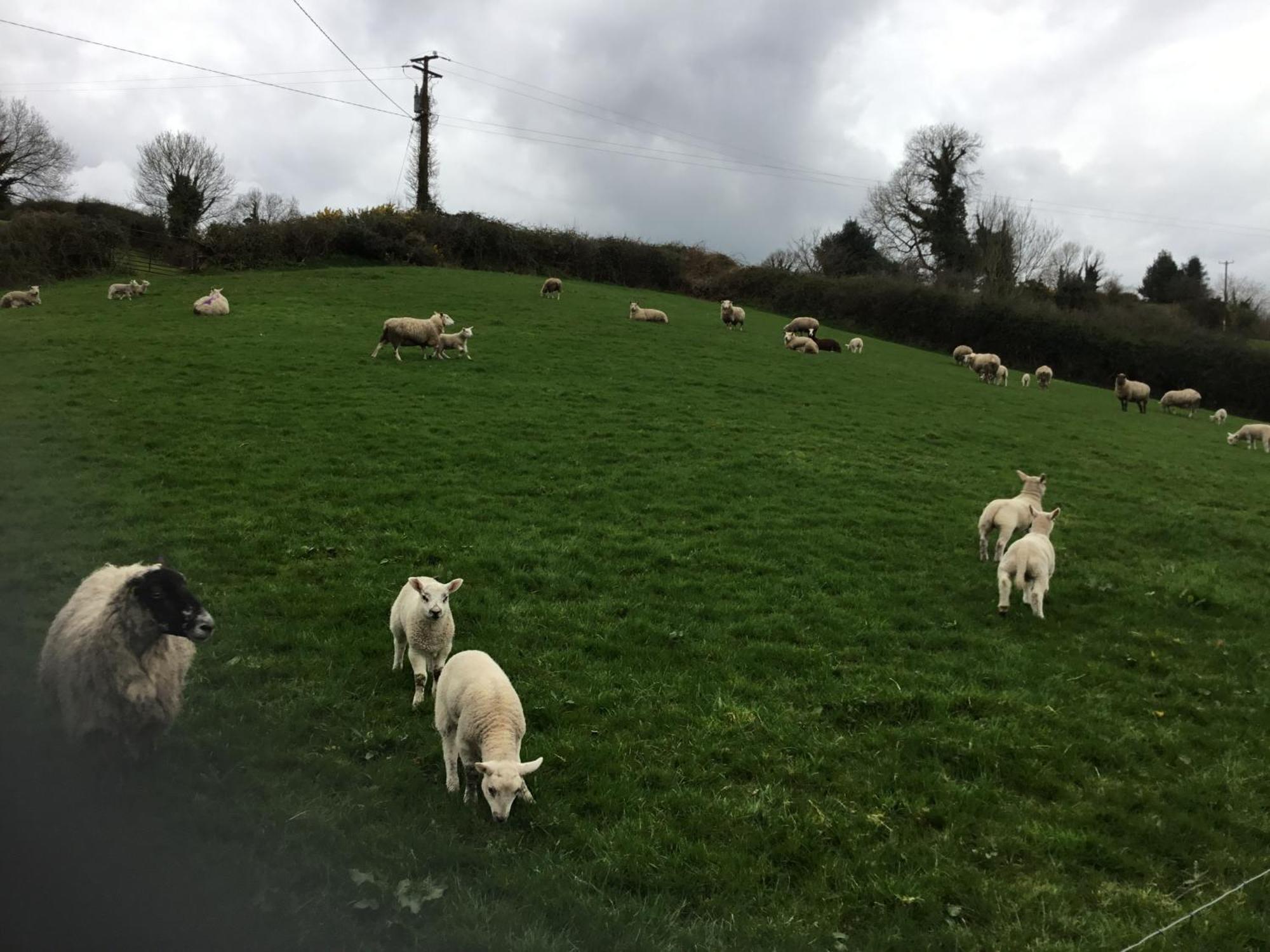 Cosy Cottage Broadford Broadford  Luaran gambar